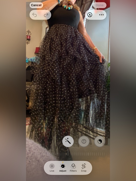 Dresses & Skirts - The black polka dot tiered tulle maxi dress Skirt was only wore for the picture